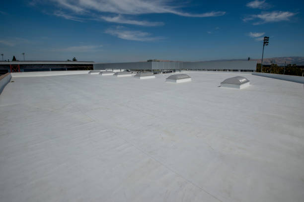 Best Roof Maintenance and Cleaning  in Kings Park, VA