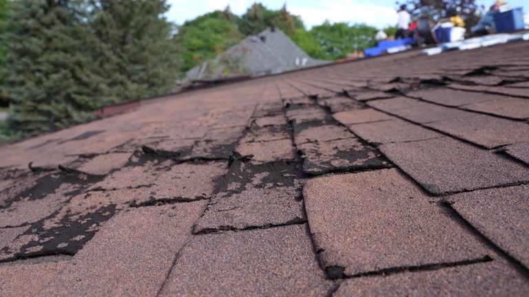 Best Commercial Roofing Services  in Kings Park, VA