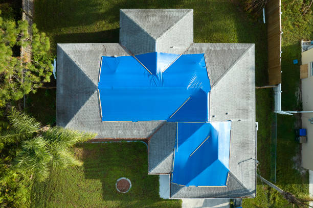 Best Roof Moss and Algae Removal  in Kings Park, VA